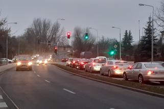 Obwodnica Ciechanowa. Jest 7 chętnych na zaprojektowanie obwodnicy Ciechanowa