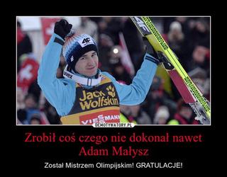 Kamil Stoch - memy po złotym medalu