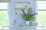 Benjamin Moore_farby ekologiczne_pastelowe kolory 6