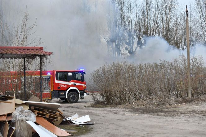 Pożar pustostanów przy ul. Grudziądzkiej w Toruniu. To nie pierwszy raz!