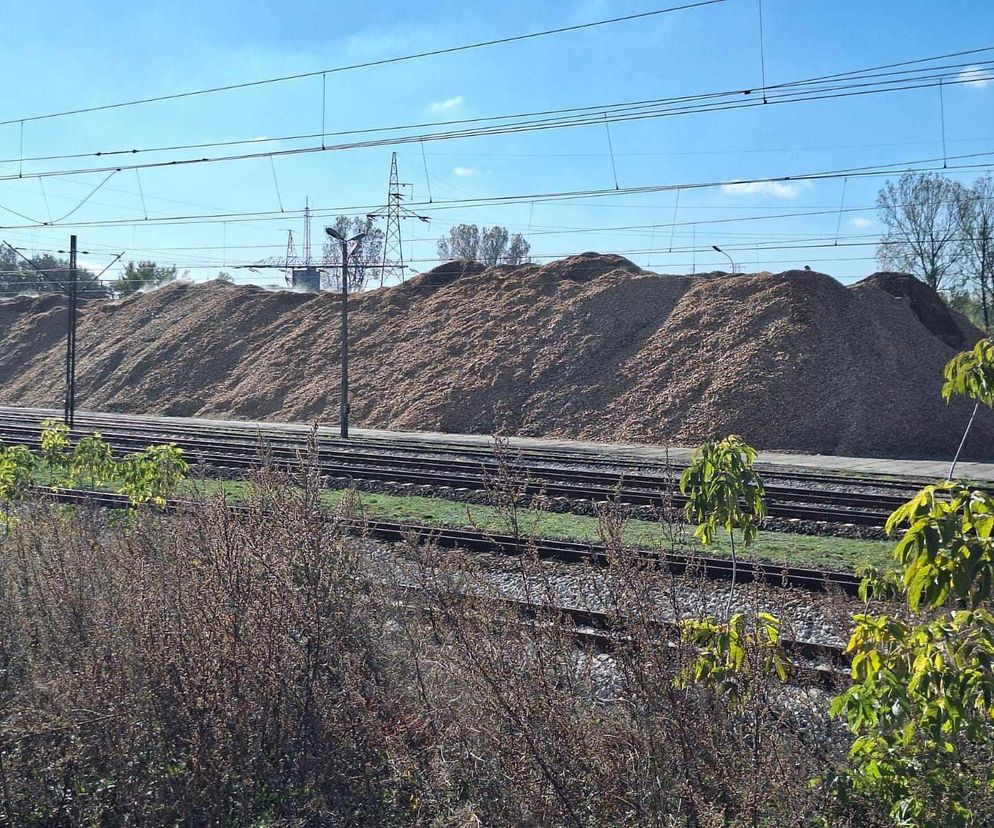 Olbrzymia hałda trocin na kolejowej bocznicy w Starachowicach. Protest mieszkańców 