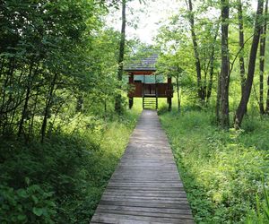 Białowieski Park Narodowy 