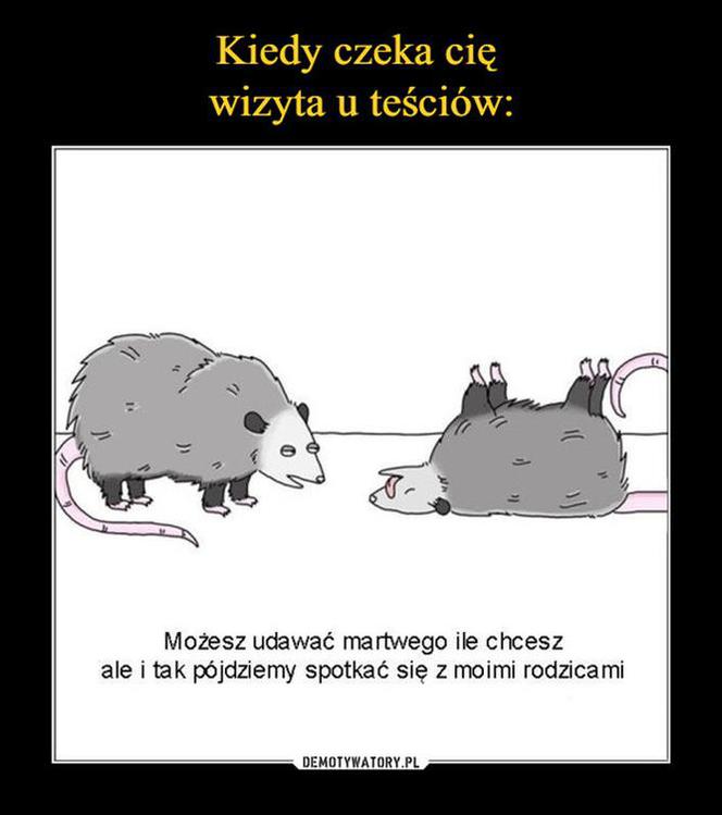 Memy o teściowej