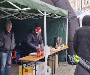 Udekorowana choinka stanęła na środku rzeki w Kaliszu