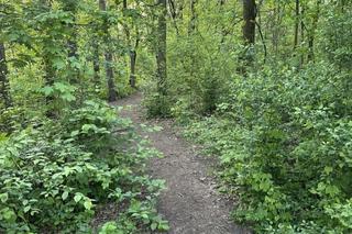 Robił obrzydliwe rzeczy na oczach dzieci! Później uciekł do lasu