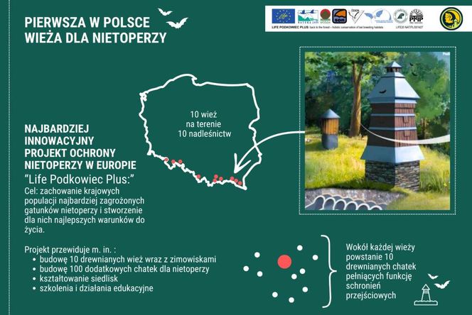 Wieża dla nietoperza. Pierwszy taki obiekt w Polsce powstaje na Podkarpaciu