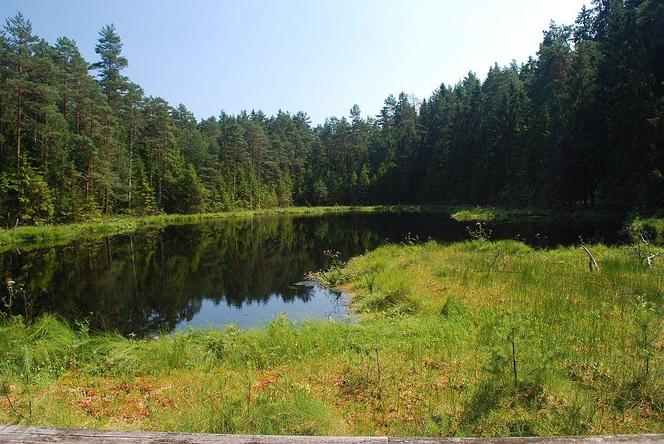 Wigierski Park Narodowy. To bezcenny obszar podlaskiej natury