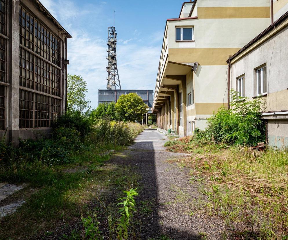 Teren po dawnej kopalni „Kazimierz-Juliusz do rekultywacji