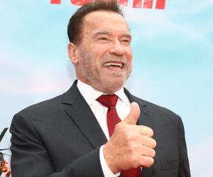 Schwarzenegger dziękuje Polakom! Wymownie skomentował wpis widza