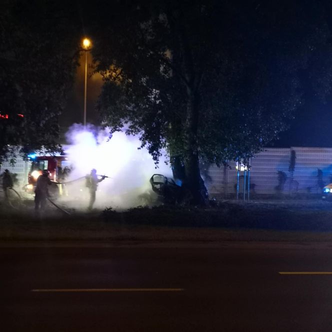 Potworny wypadek w Płocku. Wypadli z drogi, uderzyli w drzewo. Dwoje ludzi spłonęło w samochodzie	