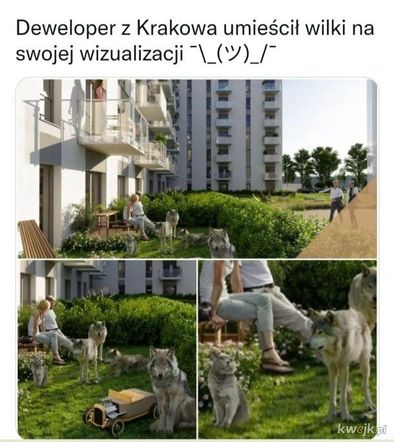 Najlepsze memy o deweloperach