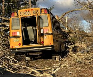 Drzewo runęło na szkolny autobus w New Jersey