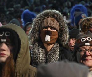 Świstak przepowiedział sześć tygodni zimy