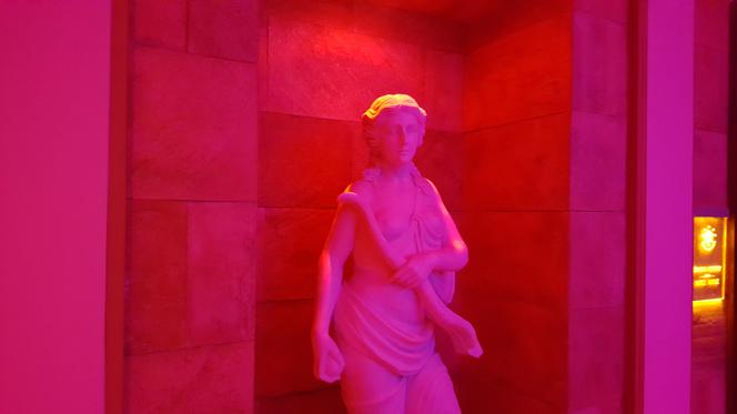 Mistrzostwa Polski Saunamistrzów w Czeladzi