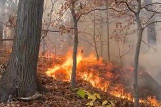 USA: Pożar trawi park na Manhattanie!
