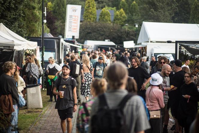 2. Dzień OFF Festivalu w Katowicach: Wzruszenie Edyty Bartosiewicz, niezapomniany koncert Grace Jones