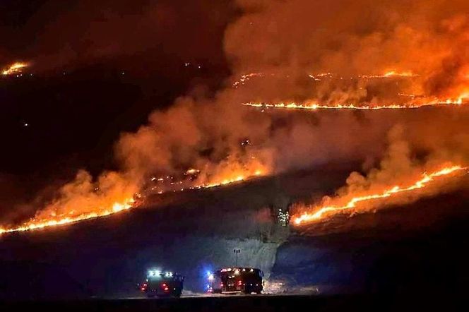 Pożar suchej trawy na Winnej Górze 