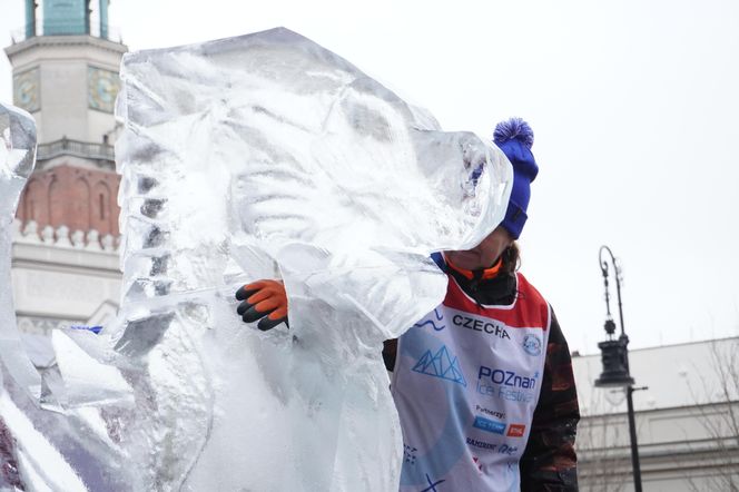 Poznań Ice Festival 2024 