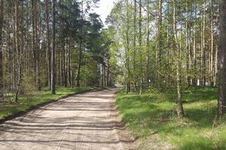 Pod Bydgoszczą spadł obiekt wojskowy. Na miejscu wojsko i policja