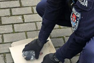 Policjanci o gołębich sercach