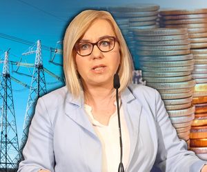 Prąd tańszy o 120 zł bez mrożenia cen energii! Minister ujawnia termin