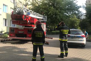 Brawurowa akcja strażaków na Pradze Południe