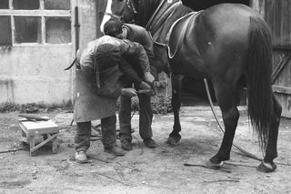 QUIZ PRL. Usługi w Polsce Ludowej. Do kogo zgłosiłbyś się z tym problemem?