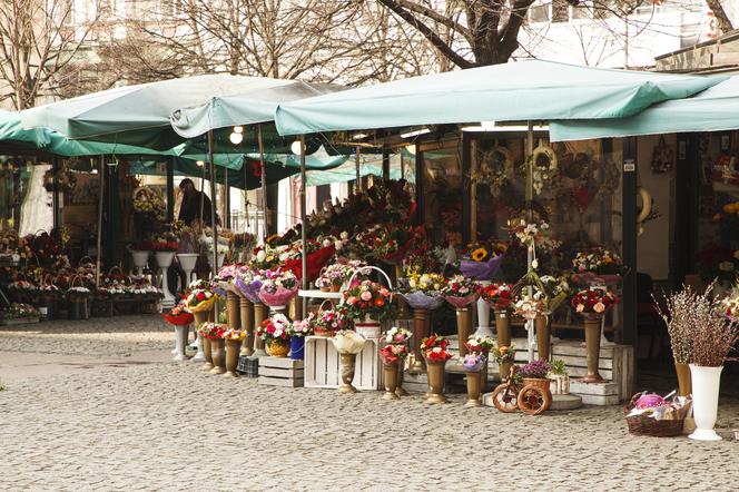 Nowe znaki  "flowers & ride" na pl. Solnym we Wrocławiu