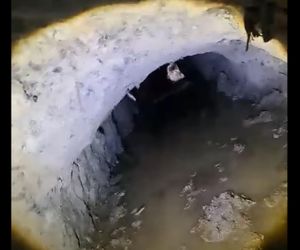 Migranci wykopali tunel pod barierą. Polskie służby zareagowały natychmiast
