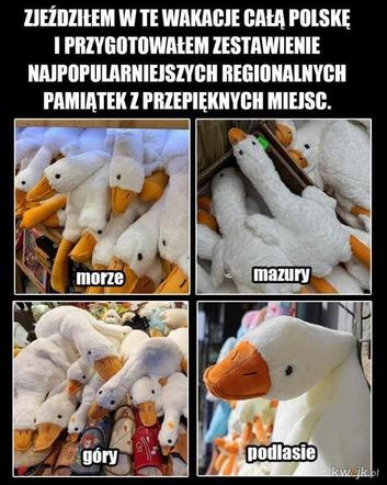 Tak się śmieją z Polski i Polaków! TOP 40 najśmieszniejszych memów