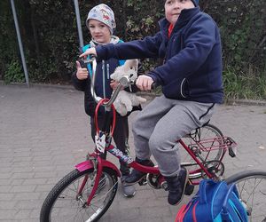 Pomóżcie mi, bo chcę boksować