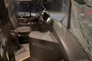 Wiązowna. Zderzenie autobusu z sarną 