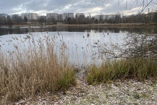 Zima zaatakowała na Warmii i Mazurach. W weekend kolejne opady śniegu!