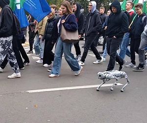 Spacerek na uniwerek w Szczecinie