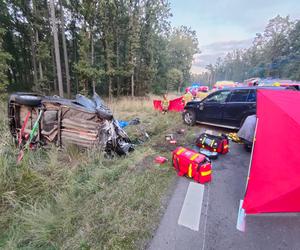 Wypadek pod Kościanem. Zderzenie samochodu z jeleniem doprowadziło do czołówki