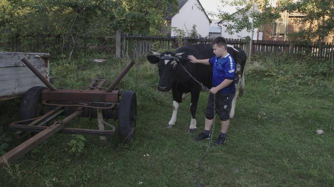 Śląskie: Bartek ma zaledwie 11 lat i... ogromny dług, który odziedziczył po swoim ojcu