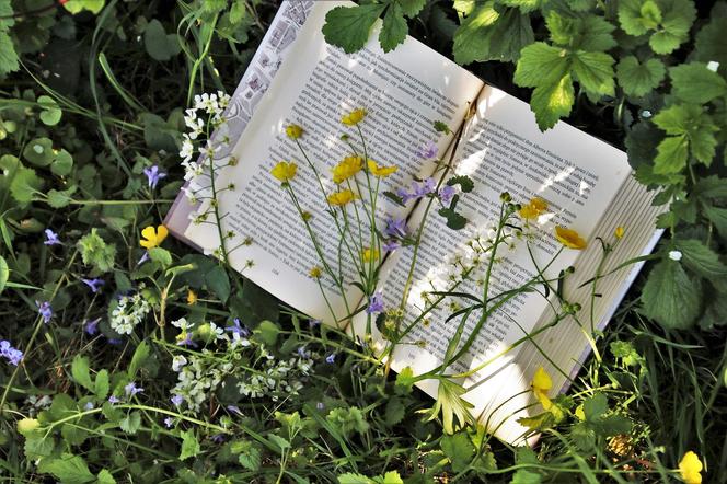 Wiosna literacka w Radomiu ... przyjdzie później. Kiedy?