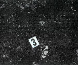 Makabra na Nowym Świecie! 33-latek spalił żywcem kobietę! Rozpaliłem grilla...