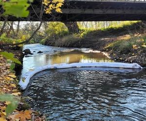 Na Białusze w Krakowie pojawiły się łapacze śmieci