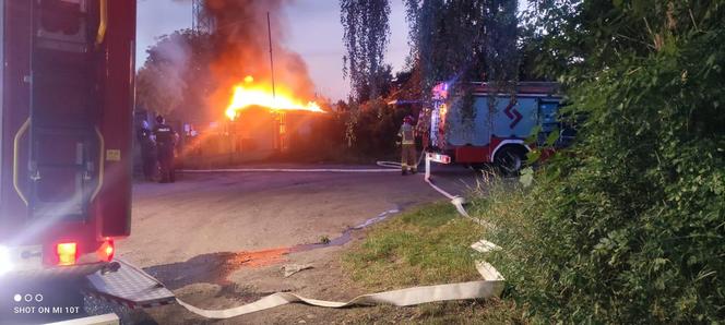 Kolejny pożar altany na ogródkach działkowych w Katowicach. Spłonęła doszczętnie