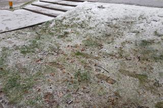 Gołoledź, marznące opady i oblodzone chodniki. Tak wyglądał poranek na drogach w Białymstoku