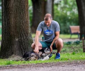 Biegnie z Włodkiem do Brukseli