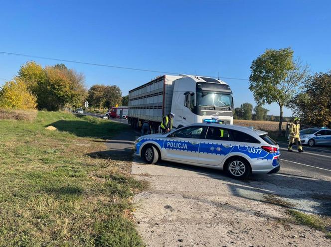 Śmiertelny wypadek pod Gnieznem! Kobieta zginęła pod kołami ciężarówki