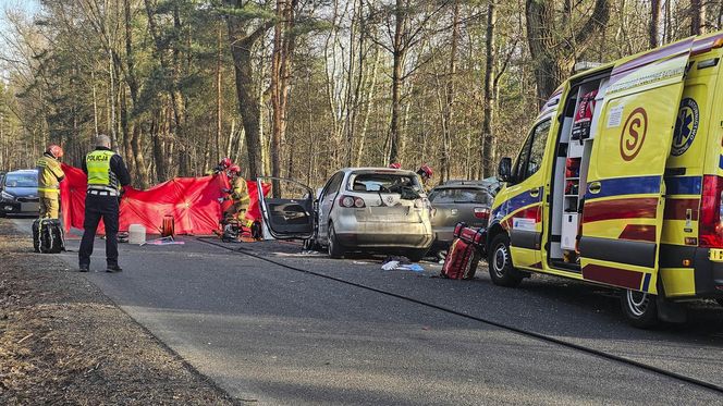 Wypadek w Jaworznie w Seacie zginęła matka, 2 letnie dziecko przeżyło.