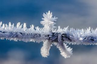 Uwaga! Tej nocy na Podkarpaciu będzie bardzo ślisko