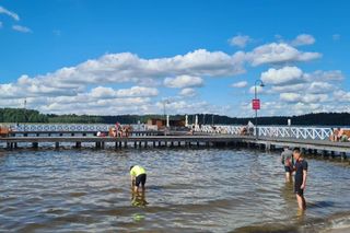 Gdzie jest najpiękniejsza plaża w woj. podlaskim? AI nieoczekiwanie wskazała to miejsce