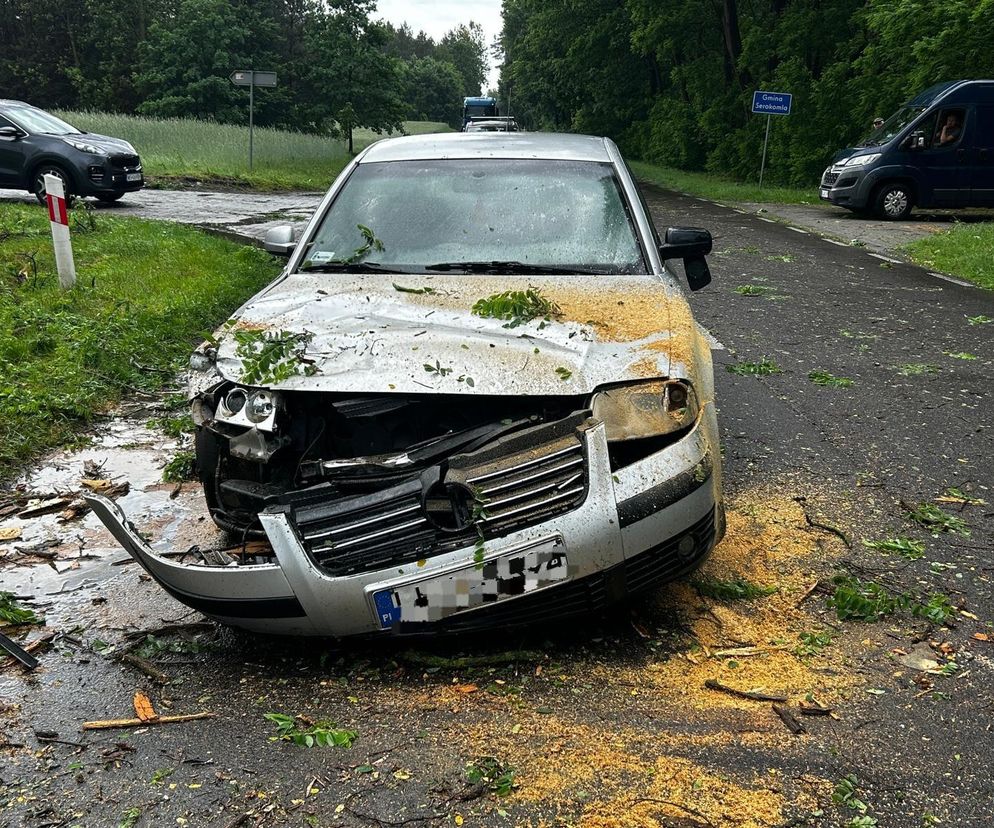 Burze nad Polską! Setki interwencji straży, jedna osoba ranna [ZDJĘCIA]