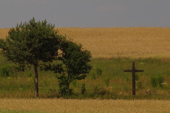 Cuda Polski 2025 w Podlaskiem