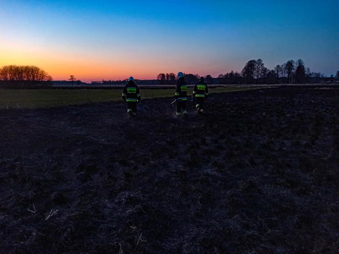 Pracowity wieczór strażaków. Płonęły i dom i trawy!