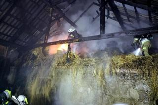 Gwałtowne burze na Podkarpaciu [GALERIA]